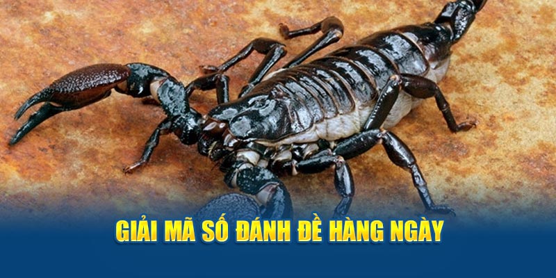 Giải mã số đánh đề hàng ngày khi mơ thấy bọ cạp 