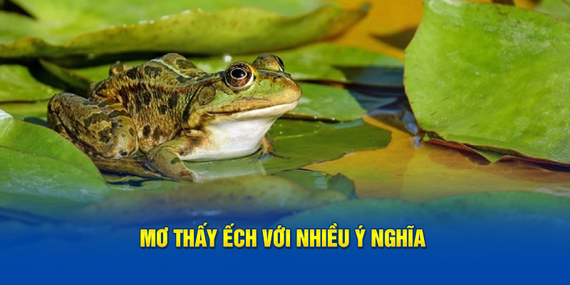 Mơ thấy ếch với nhiều ý nghĩa