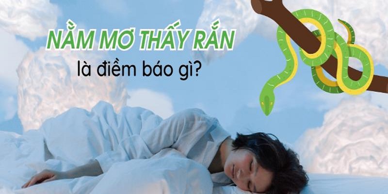 Điềm báo mà giấc mơ thấy rắn đem lại là xấu hay tốt?